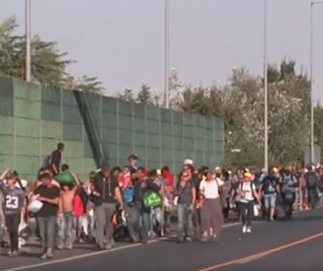 Jurnalista care a lovit imigranţi, anchetată penal