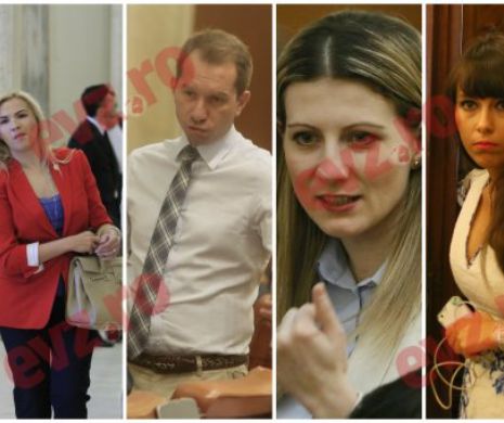 Noua generație de parlamentari a moștenit metehnele celei vechi