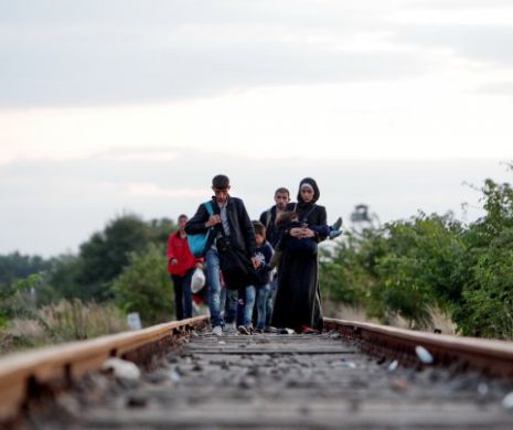 O seară în centrul de recepție al refugiaților sirieni din Roszke (Ungaria) I GALERIE FOTO