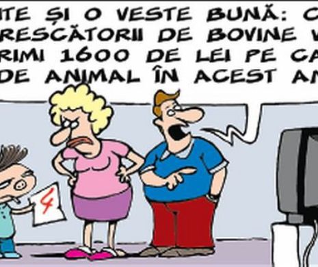 Părerea lui Terente 12.09.2015