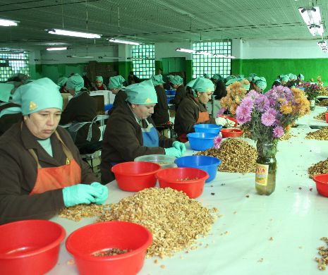 Patronii cer corelarea salariilor bugetarilor cu cele din industrie