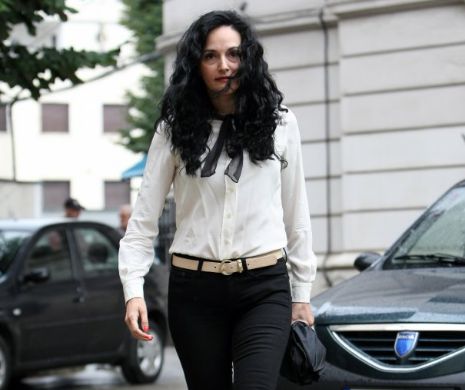 Probele care au trimis-o din nou în arest pe Alina Bica