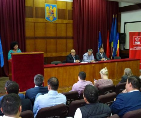 PSD Constanţa îl susţine pe Liviu Dragnea pentru şefia partidului şi pe Felix Stroe pentru funcţia de vicepreşedinte