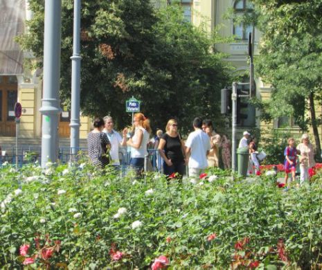 Revolta halatelor albe, proba dată în lumea reală! Orgoliile rup protestele medicilor