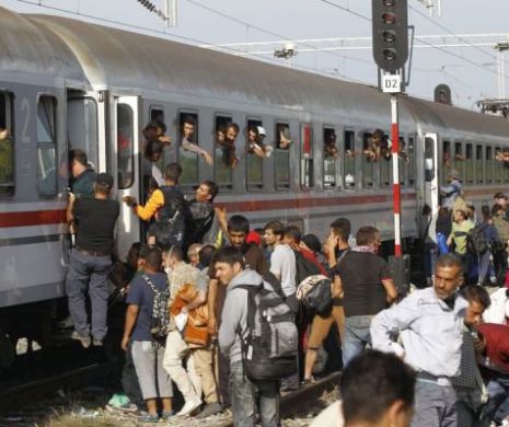 Spania: Migranți sirieni, descoperiți aproape asfixiați într-un camion