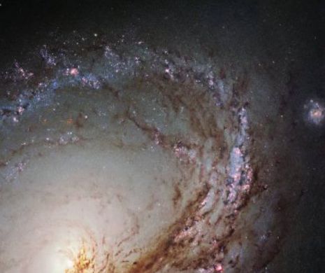 SPLENDOARE GALACTICĂ: Un uriaș vârtej în oceanul cosmic, surprins de Telescopul Spațial Hubble | FOTO