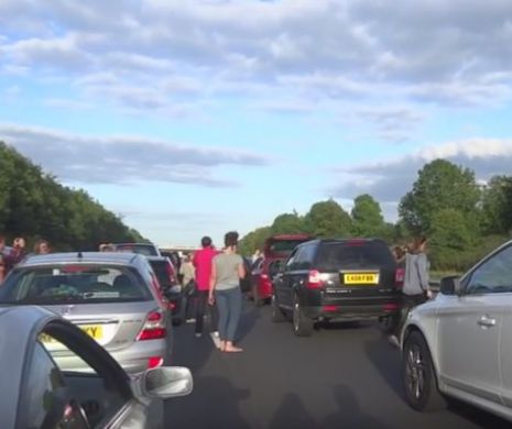 Stateau la coada in trafic. Cand s-au dat jos, si-au dat seama cat de norocosi sunt sa vada asta. VIDEO