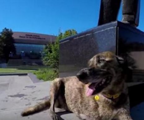 Ultime zile fericite pentru Sheridan