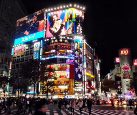 Un cutremur de 5,4 grade s-a produs astăzi în Tokyo