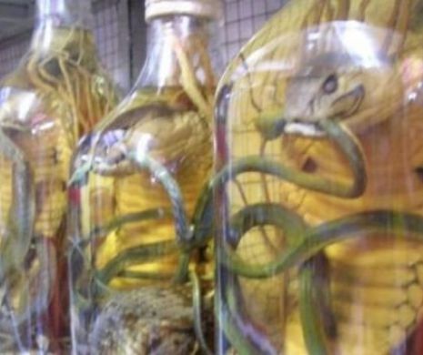 Un MONSTRU a fost ţinut trei luni de zile într-o sticlă cu alcool. E incredibil ce a făcut când a fost ELIBERAT