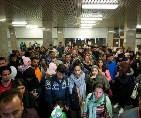 Un refugiat din Germania a POVESTIT că a luptat pentru ISIS