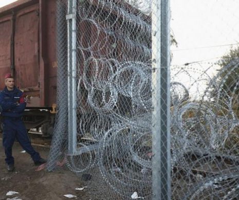 „Zidul lui Trump” devine realitate în Europa? UE ridică garduri de sârmă ghimpată pentru a ține migranții în afara granițelor