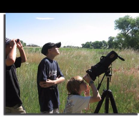 Vine „Euro Birdwatch 2015”