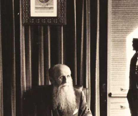 Vrednici de un Muzeu Național