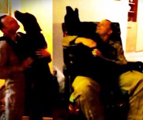 Atat de emotionant! Un caine isi revede stapanul dupa 6 luni de zile si aproape plange de fericire!
