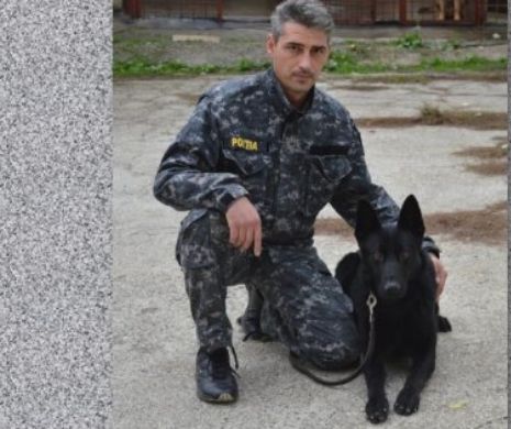 CÂINELE POLIȚIST i-a SALVAT VIAȚA. O bătrână DISPĂRUTĂ a fost găsită ÎN PĂDURE după trei zile. E prima misiune a ciobănescului german SAV