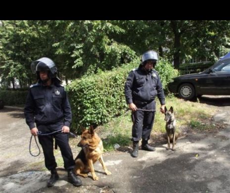 Câţiva poliţişti au avut parte de AVENTURA vieţii lor. Amuzant sau trist?
