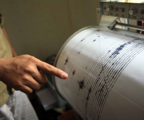 Cutremur de 4,4  în Vrancea