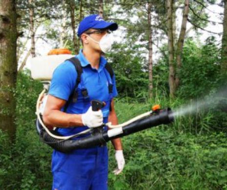 DNA știa de 18 luni de șpăgile pe care le dădea patronul de la Coral Impex care a deratizat cinci primării din transilvania