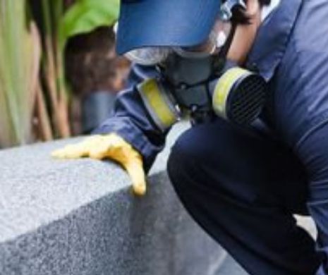 DOSARUL DERATIZĂRILOR DIN PRIMĂRII. Procurorii DNA au pus sub acuzare primele trei persoane implicate în "sifonarea" banilor publici către buzunarele personale