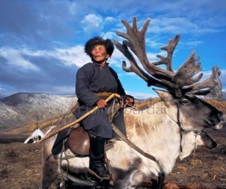 Imagini care iti taie respiratia: Nomazi, alaturi de animale salbatice