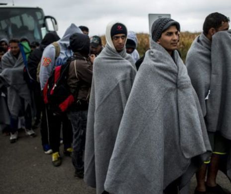 Imigrant afgan, ÎMPUŞCAT în Bulgaria