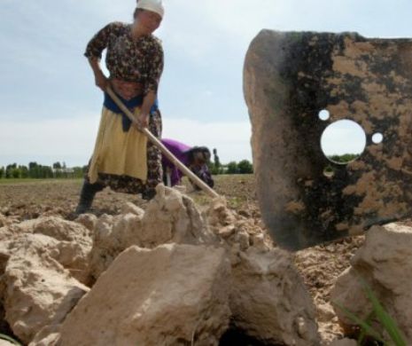 Încă se întâmplă: LOCUL în care BUMBACUL este ADUNAT DE sclavi