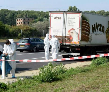La LIMITĂ. S-au ascuns într-un camion frigorific ca să ajungă în OCCIDENT. Printre IMIGRANȚI era și un COPIL de 3 ani