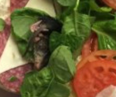 Mănânci sandwichuri de la Subway? Cu siguranţă NU ai vrea unul cu spanac, brânză şi...ŞOBOLAN!