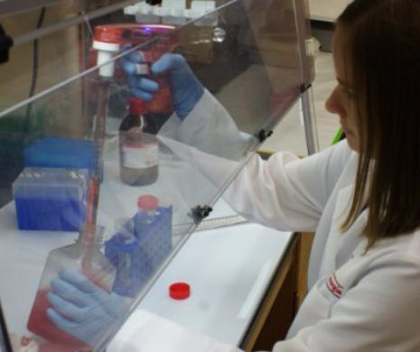 Pana unde a ajuns stiinta! Specii pe cale de disparitie, „la pastrat”, intr-o gradina zoologica ”inghetata”