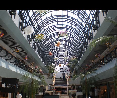 PANICĂ într-un mare centru comercial. Camerele de supraveghere au surprins un animal PERICULOS în clădire | VIDEO