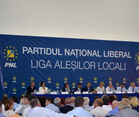 Parlamentarii PNL intră mâine în grevă japoneză