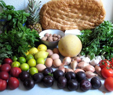 Parlamentul a adoptat un proiect de lege privind exercitarea profesiei de dietetician