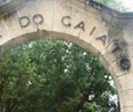 Poveste incredibila! Cine este singurul milionar din lume care doarme la ORFELINAT