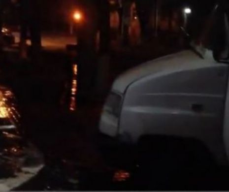 Protestul cu găini moarte în curtea PNL a fost NIMIC. Peste trei tone de FECALE au fost împroşcate pe scările sediului unui mare partid | VIDEO