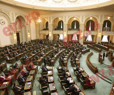 SENAT: Primarii, obligați să țină evidența arborilor excepționali. VEZI ce amenzi li se pregătesc