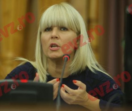 Udrea: Eu nu vreau să fac denunţuri; vreau să spun lucrurile pe care le ştiu în legătură cu cele două acuzaţii