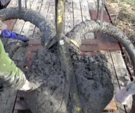 Un GIGANT ÎNFIORĂTOR a fost SCOS din adâncuri. Oamenii au fost ŞOCAŢI când l-au văzut | VIDEO