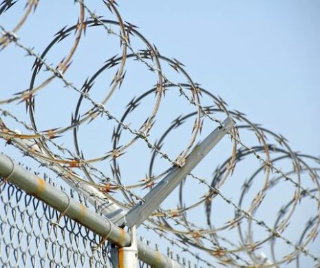 Un ministru vrea să securizeze graniţele Germaniei prin ridicarea unor garduri de sârmă ghimpată