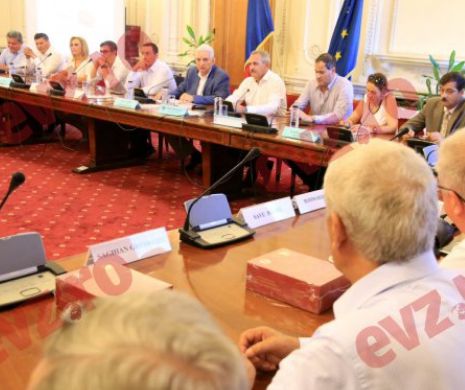 Comisia de apărare din Senat: SPP nu va asigura protecţie preşedinţilor de partide