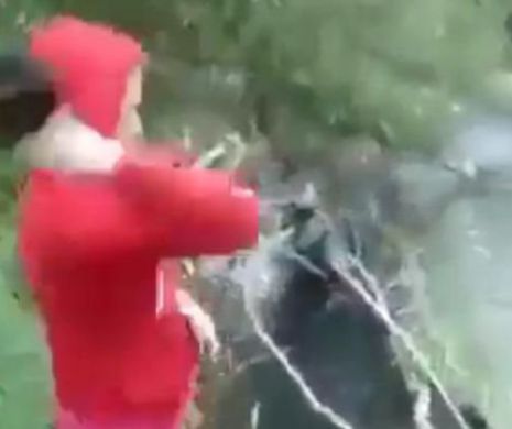 CRUZIME INCREDIBILĂ. A luat căţeii şi I-A ARUNCAT ÎN RÂU. Cine-i FEMEIA-MONSTRU?