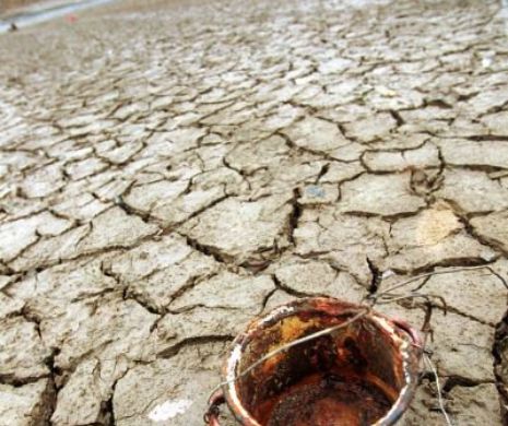 DE CE au fermierii motive de bucurie pe final de an!