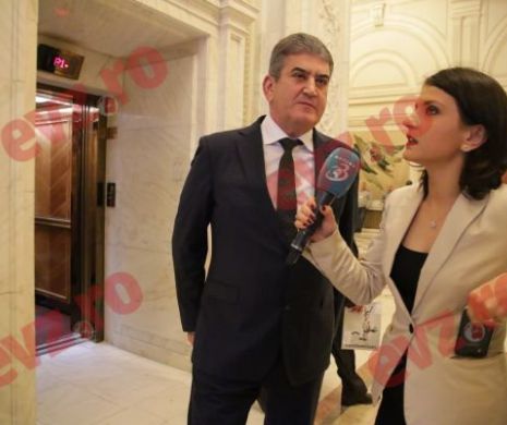 Gabriel Oprea, după consultările cu Iohannis: Suntem total de acord şi susţinem alegerile anticipate