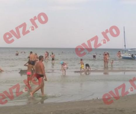CÂŢI bani au cheltuit turiştii străini în România!