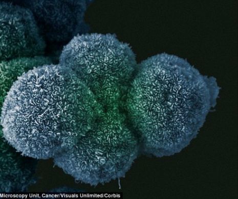 DESCOPERIREA epocală. A fost identificată METODA care poate opri dezvoltarea CANCERULUI