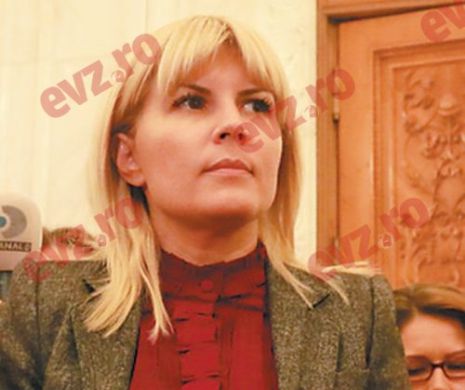 Elena Udrea: "Stiam din 2010 că se iau ȘPĂGI la ANPR. Am nominalizat-o atunci pe Crinuța Dumitrean"