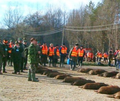INCIDENT NEAŞTEPTAT la vânătoarea organizată de ION ŢIRIAC la Balc. S-a sunat imediat la 112 şi a fost CHEMATĂ POLIŢIA. Reacţia oamenilor legii a fost BIZARĂ