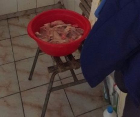 Asta-i România. CARNE PREPARATĂ ÎN TOALETA gării Făgăraş. REPLICA ANGAJAŢILOR a fost genială şi amuzantă