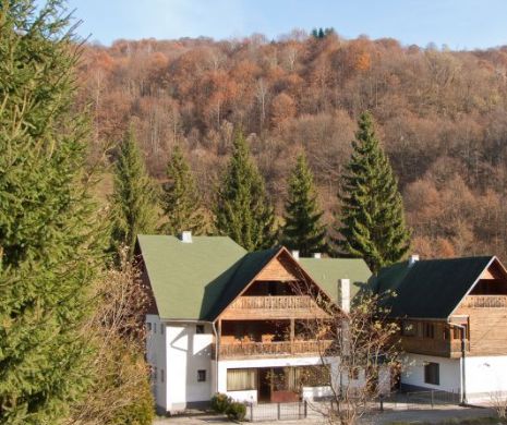 Corpul de Control al primului-ministru a început verificările la Romsilva!