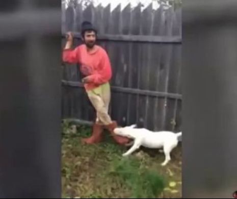 Cum I-A INSPIRAT viralul “Bă, Cristi!” pe cei de la POLIŢIA DE FRONTIERĂ. Garantat o nouă REPRIZĂ DE RÂS - Video